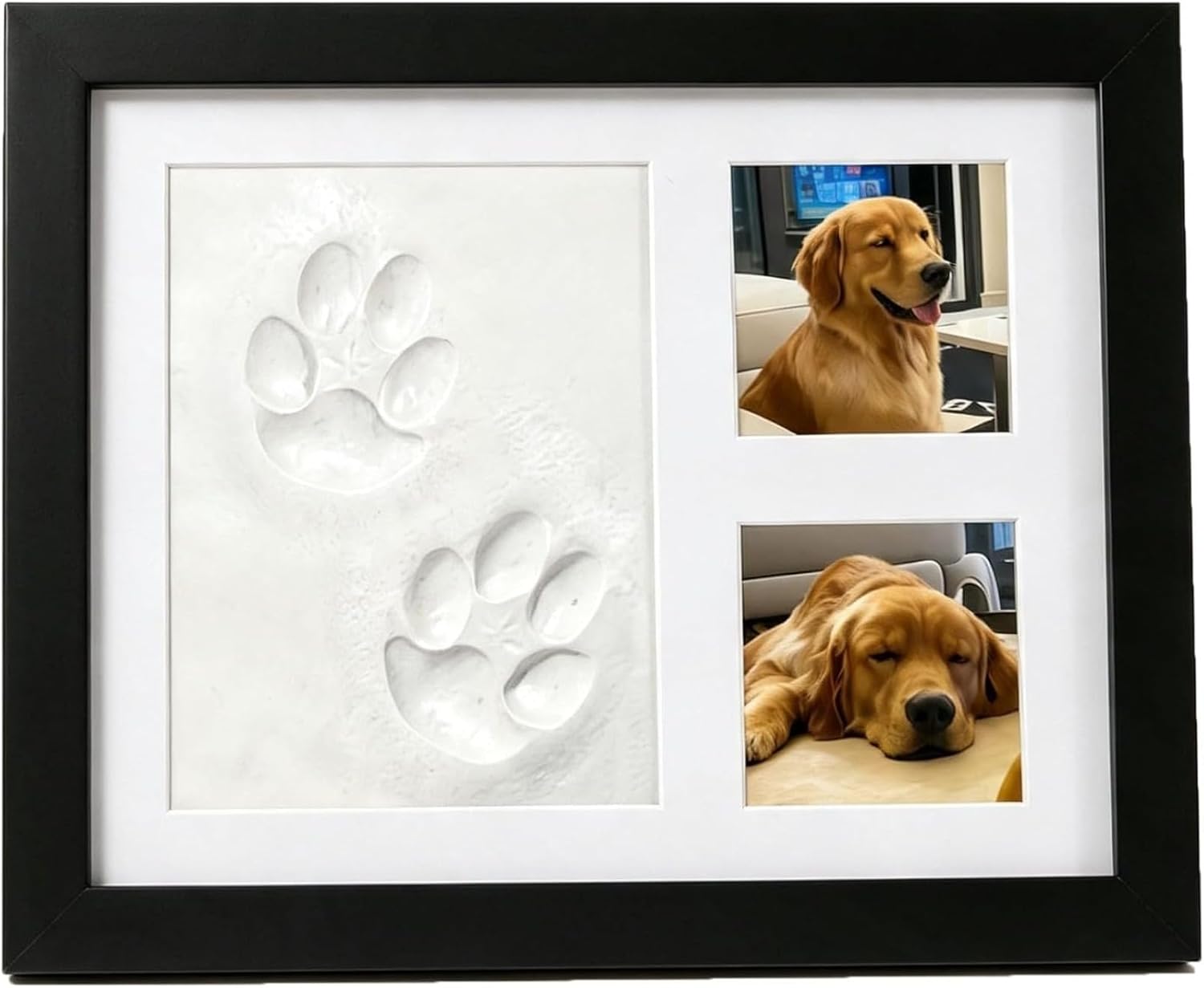 Photographic Memory - Köpekler, Kediler ve Evcil Hayvan Çiftleri
